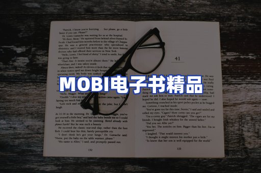 外文电子书产品